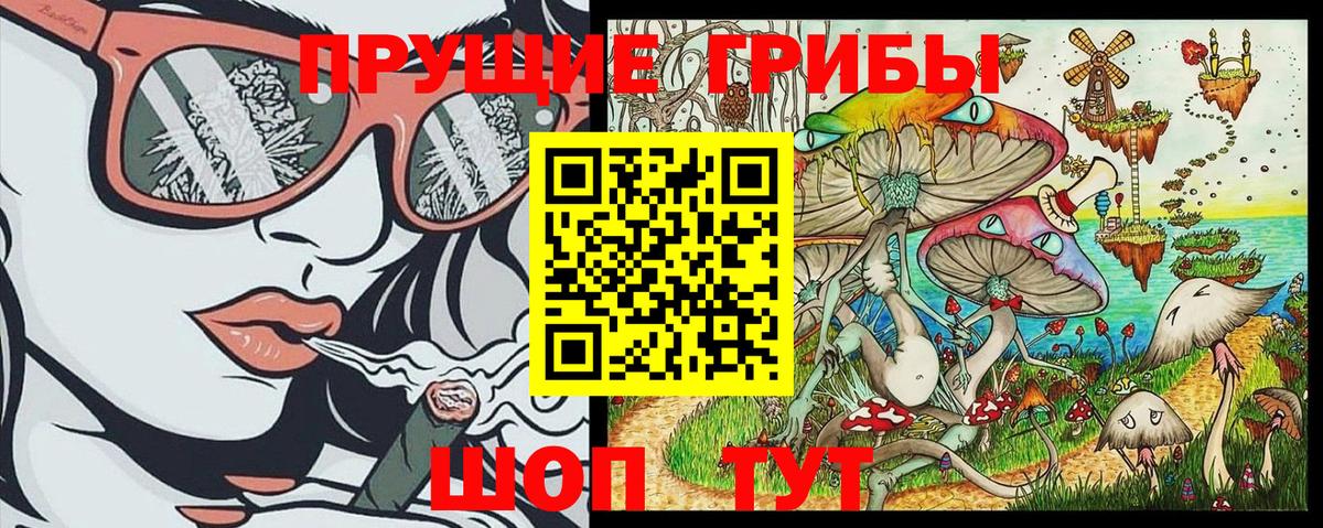 Галлюциногенные грибы GOLDEN TEACHER Астрахань